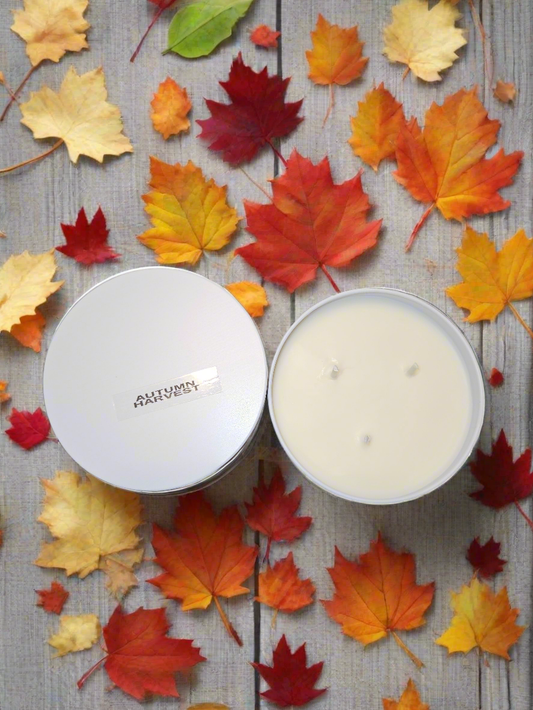 Autumn Harvest